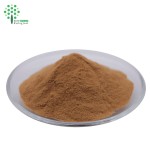 Antrodia Cinnamomea Extract Polysaccharides Powder for Dietary Supplement