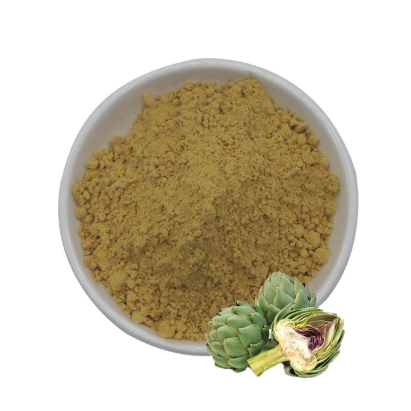Supplement Artichoke Extract Powder 2.5% 5% Cynarin Powder