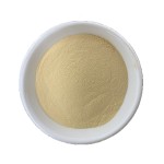 Dietary Supplement Bulk Panax Ginseng American Siberian Ginseng Extract Powder