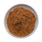 Wholesale Bulk Cordyceps Militaris Mushroom Powder Extract Cordycepin Powder