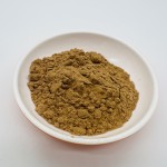 Wholesale Bulk White Button Mushroom Extract Powder Polysaccharide