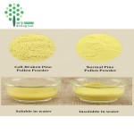 Cell Wall Cracked Broken Pine Pollen Extract Powder