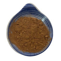 Eucommia Ulmoides Extract Chlorogenic Acid Bulk Powder