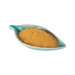 Supplement Sparassis Crispa Extract Polysaccharide Powder