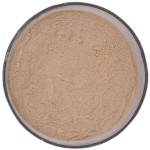 Bulk Natural Garlic Extract Allicin Powder 1%