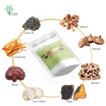 Customized Private Capsules Instant 8 in 1 Mixed Mushroom Powder Lions Mane Reishi Cordyceps Chaga Shiitake Maitake Extract