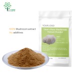 OEM Lions Mane Mushroom Extract Powder with Private Label 100G 3.5 OZ BAG
