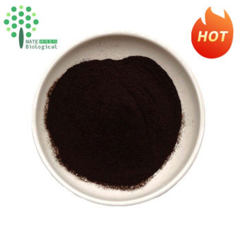 Black Gold Chaga Mushroom Extract Powder Polysaccharide 30% 50% Beta Glucan 2.0 3.0 5.0