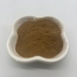 Bulk Honeysuckle Flower Extract Chlorogenic Acid 10% Powder
