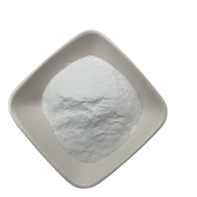 Supply Freeze Dried Probiotics Powder Lactobacillus Rhamnosus Powder Bulk