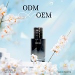 Men's Perfume 100ml - Wilderness Woody Fragrance