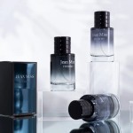 Men's Perfume 100ml - Luxury Glass Bottle Supplier