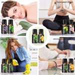 Essential Oil Set - Organic Natural Blend