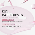 Face Mask - Salmon DNA PDRN Collagen Gel