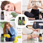 Essential Oil Set - Lavender Lemon Mint Blend