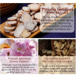 Hair Darkening Shampoo - Gray to Black Dye