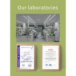 Anti-Aging Serum - Hyaluronic Acid Infused