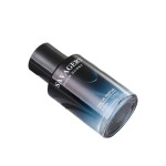 Men's Perfume 100ml - Luxury Glass Bottle Supplier