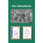 Hyaluronic Acid Serum - Vitamin E Dark Spot