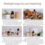 Car Perfume - Aromatherapy Scented Diffuser