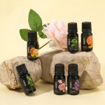 Essential Oil Set - Lavender Lemon Mint Blend