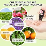 Essential Oil Set - Organic Natural Blend