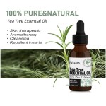 Nail Oil - Rose Cuticle Remover