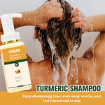 Shampoo - Turmeric Frizz Control Formula