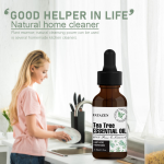 Body Massage Oil - Lavender Plant Essential