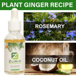 Hair Growth Oil - Rosemary Coconut Scalp Care
