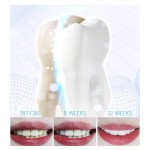 Body Lotion - Whipped Tallow Honey Balm