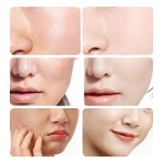 Lip Balm - Shea Butter Honey Nourishing