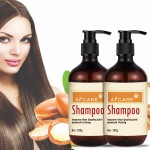 Shampoo 500ml - Argan Oil Keratin Color Protection