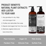 Shampoo - Argan Oil Hair Loss Prevention