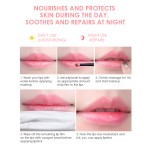 Lip Mask - Vitamin E Rose Sulfate-Free
