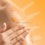 Body Scrub - Scented Pumpkin Vanilla Exfoliating