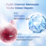 Teeth Care - Niacinamide Whitening Gum Care