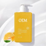 Body Lotion 300g - Vitamin C Turmeric Anti Acne