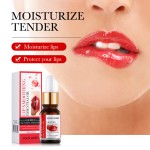 Lip Oil - Winter Anti Crack Repair Nourishing