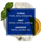 Styling Cream - Men's Long Lasting Hold Paste