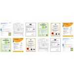 Toothpaste Tablets - Natural Mint Oral Care