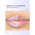 Lip Gloss - Organic Plumping Oil Lightening