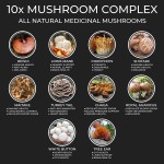 Mushroom Capsules Manufacturer - Natural Brain Memory Immune