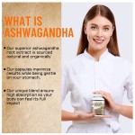 Ashwagandha Capsules Factory - Vegan Friendly Extract Support