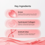 Ectoin Serum - Wholesale Probiotic Firming Rejuvenation