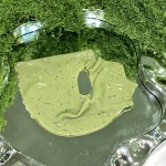 Green Tea Mask - Wholesale Polyphenols Sodium Hyaluronate