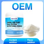 Plant Protein Powder - OEM Custom Muscle Health