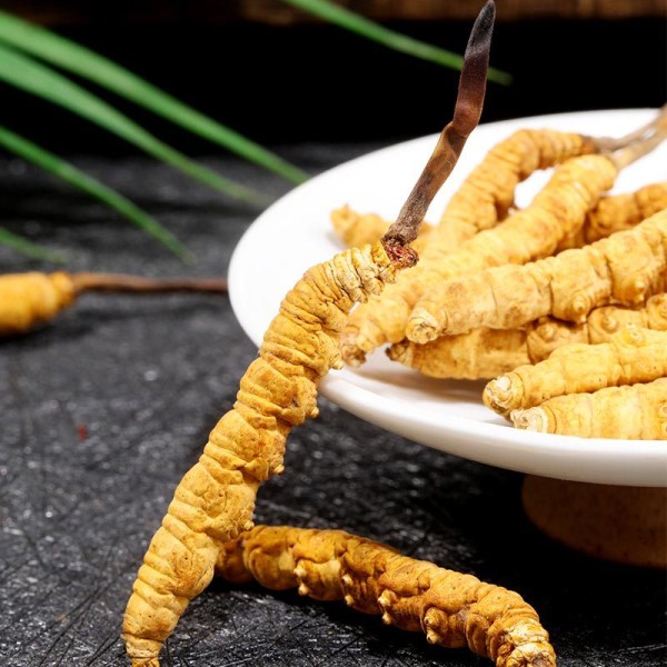 Cultivated Cordyceps - Dried Mushroom Health Food