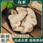 Atractylodes Root - Premium Raw Herb Wholesale