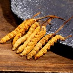 Cultivated Cordyceps - Dried Mushroom Health Food